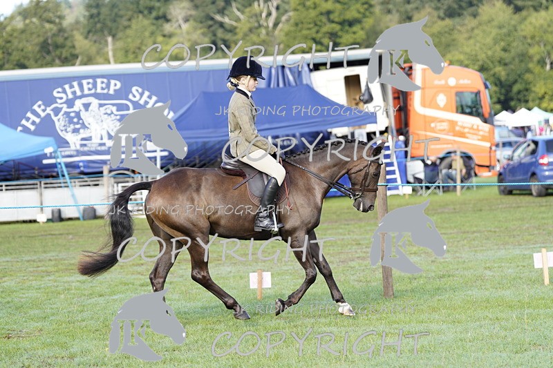 _DSC9339 - Class 8 & 17 Ridden Hunter & Ridden Hunter Pony
