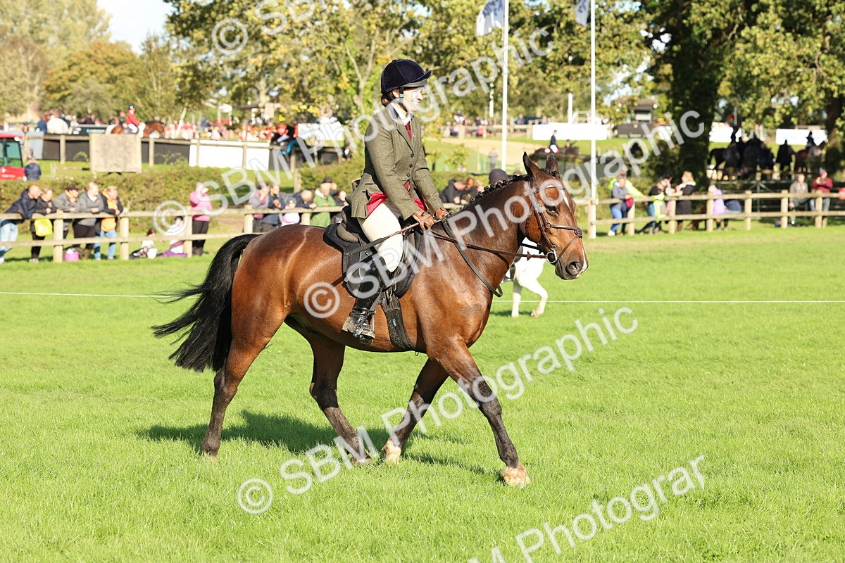 SBM_50134 - S34 - Novice & Newcomers Working Hunter