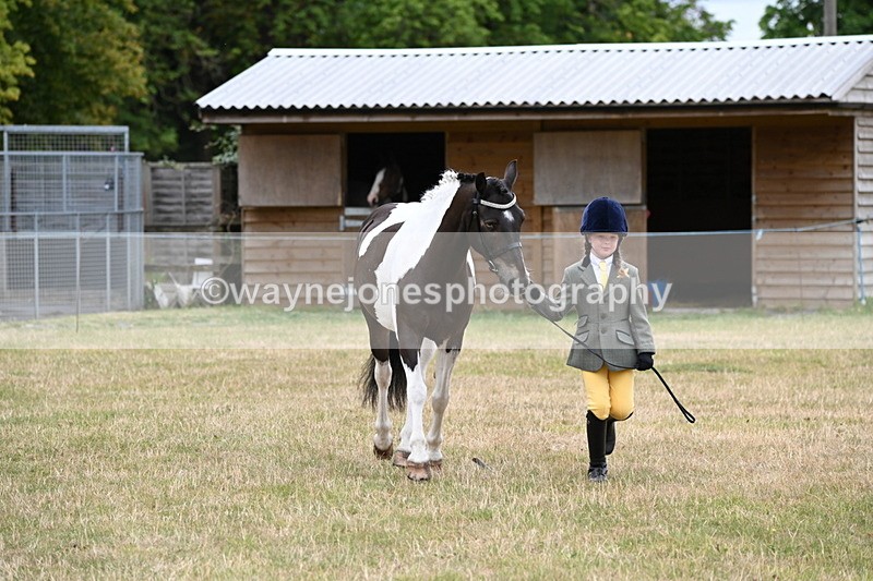 WJ6_4334 - Class 10 Coloured In-hand