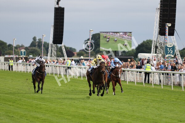 yr23072021r3-25 - Race 3 7.00pm The JKH 80th Birthday Celebration EBF Novice Median Auction Stakes (Plus 10 Race)