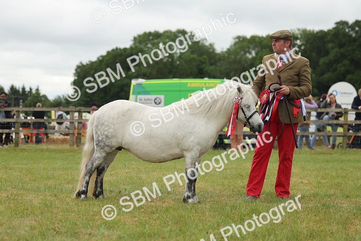 SBM_05096 - Class 50-57 - M&M Welsh Pony In Hand