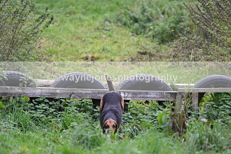 WJ7_8950 - Camera 1 only on this line