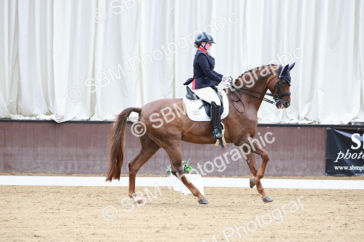 SBM_017938 - Class 15 - FEI Junior