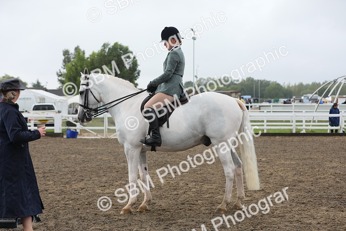 SBM_21261 - Class 805 - Ridden Veteran Horse