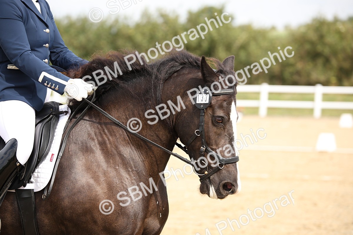 SBM_019774 - Class 22 - Medium 73 - 10.36 11.32