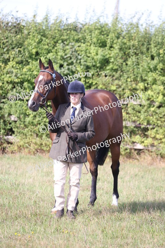 20260906-0675 - Class 22 - Ex Racehorse