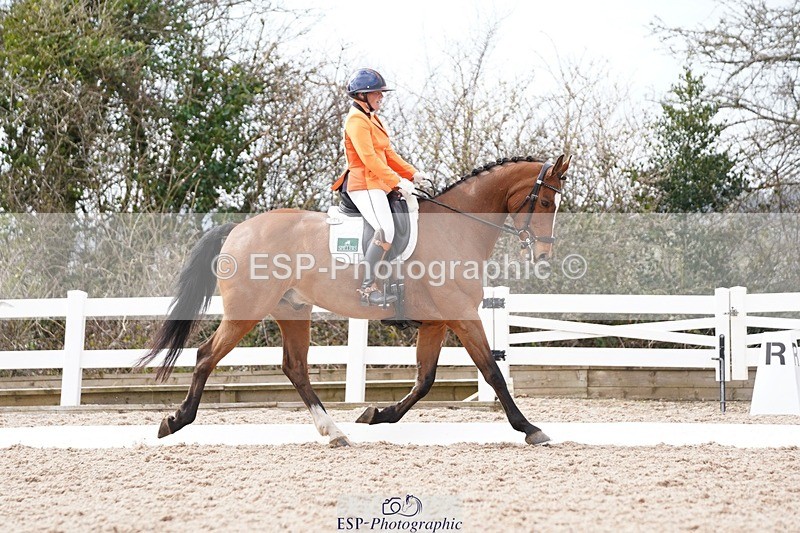 250322-131228-00464 - DR Elementary 2 Test