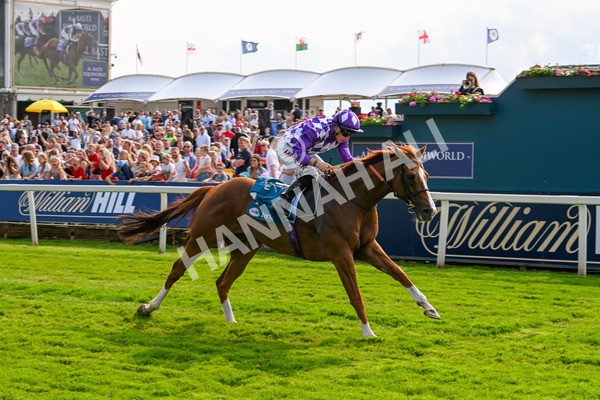 310525-Race 7-Mums Tipple-0351 - Race 7 5.00pm William Hill Best Odds Guaranteed Handicap