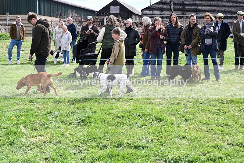 WJ6_8240 - Class 4 Prettiest Bitch