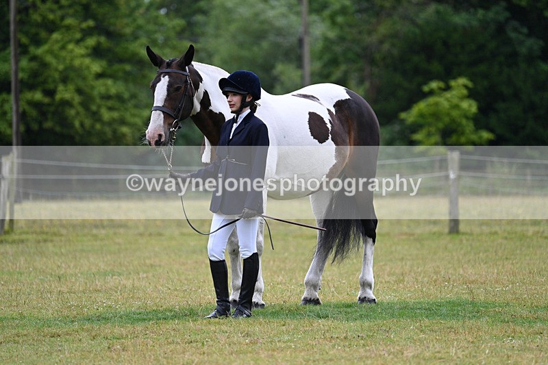 WJ7_6203 - Class 4a Prettiest Mare over 14hh