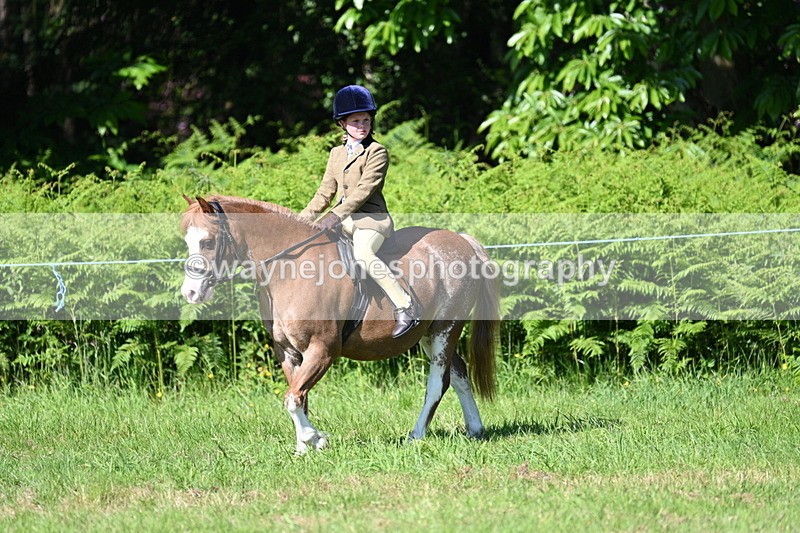 WJ7_0373 - Class 8 First Rally Pony