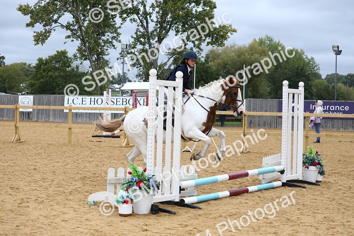 SBM_71964 - J3b - Mini Tour Junior Pony 40cm Championship