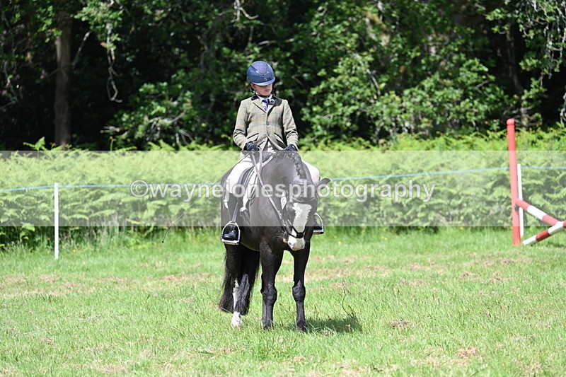 WJ7_1753 - Class 9 Pony Club Pony