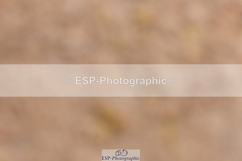 240121A-101551-00391 - Cls 2 Prelim 17A