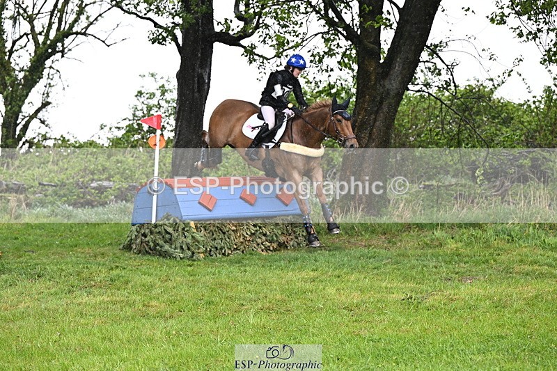 250418-131902-04119 - 205-Millie.Stoneman-V8.CHESTER