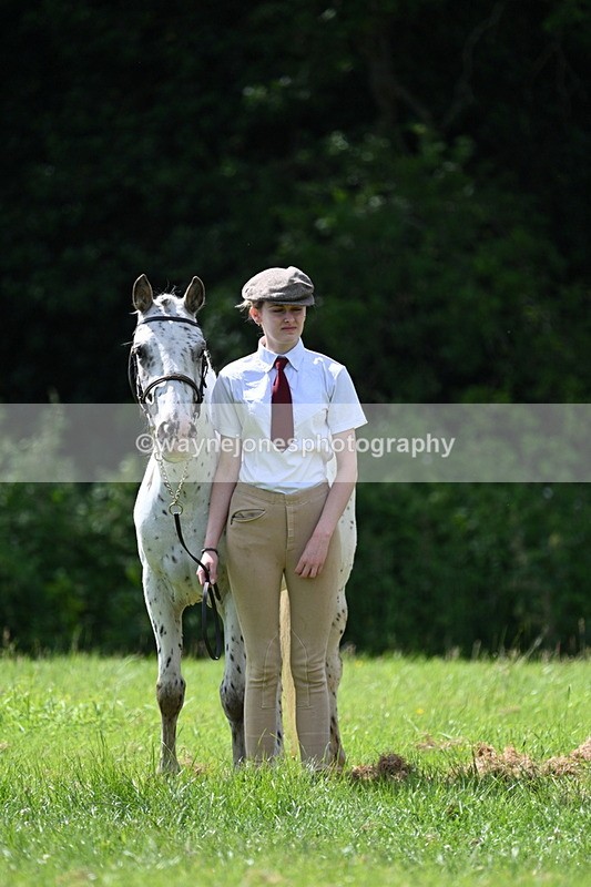 WJ7_1491 - Class 11 Condition & Turnout