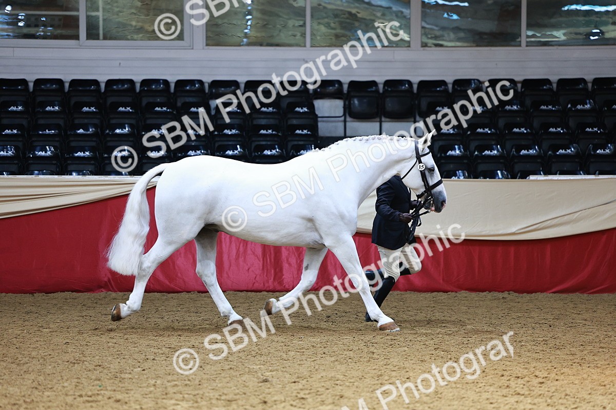 SBM_23255 - Class 903 - Supreme Final - IH Pre Vet