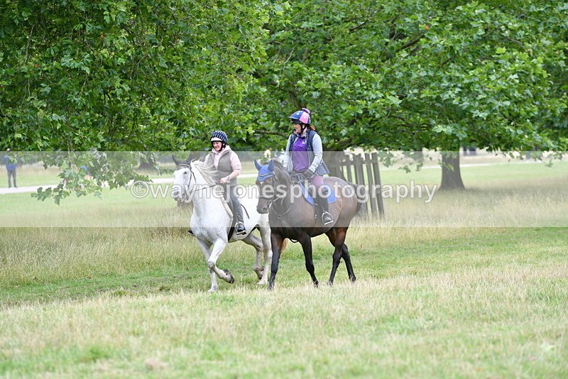 WJ5_1291 - Time at Jump 12:20 to 13:01