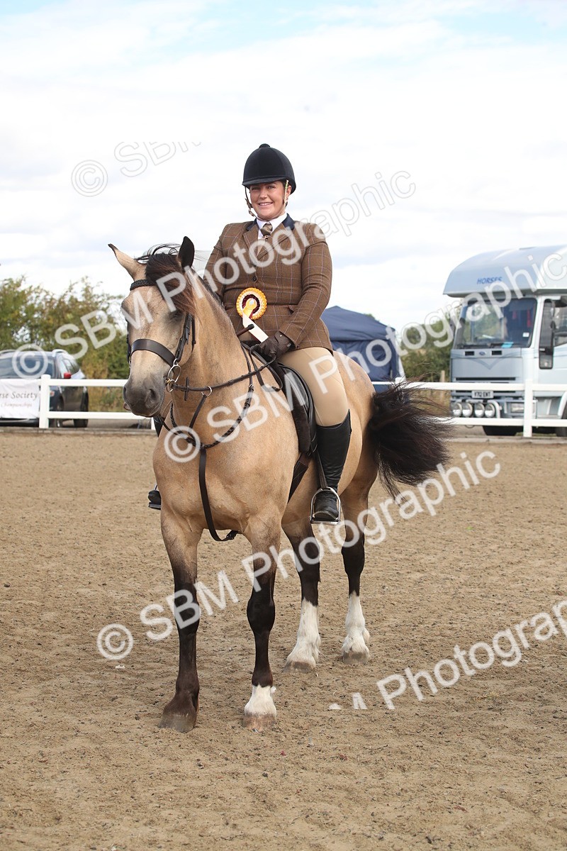 SBM_14590 - Class 505a - M&M Working Veteran - 50cm (15-19)