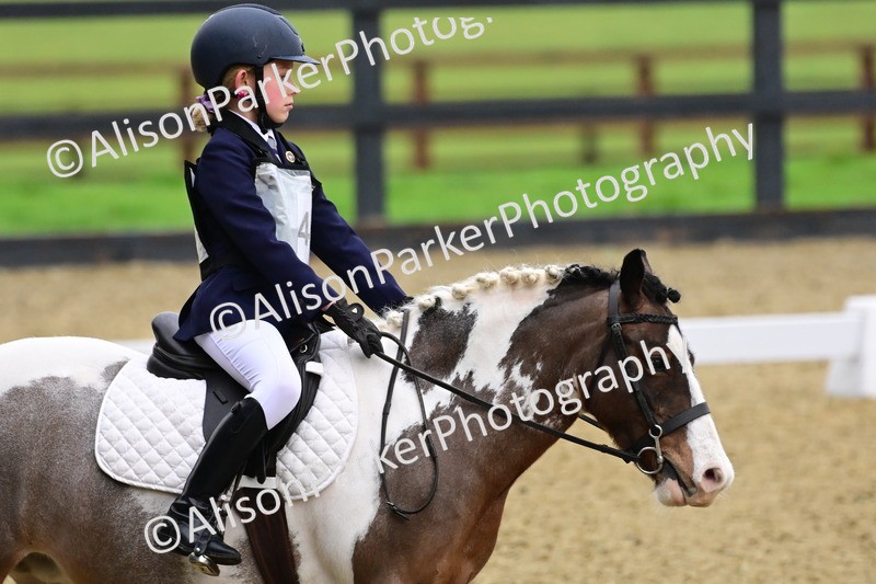 20260125-0642 - Class 9b - Walk Trot Unassisted