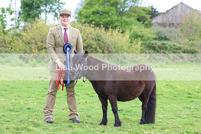 3E7A0929 - In Hand Championship