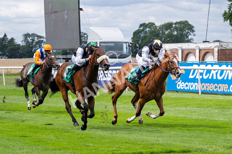 020825-Race 1-Rikki Tiki Tavi-2391 - Race 1