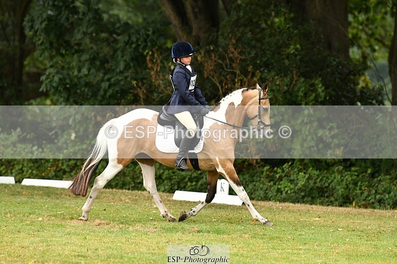 250820A-125025-05669 - 12 to 13.00