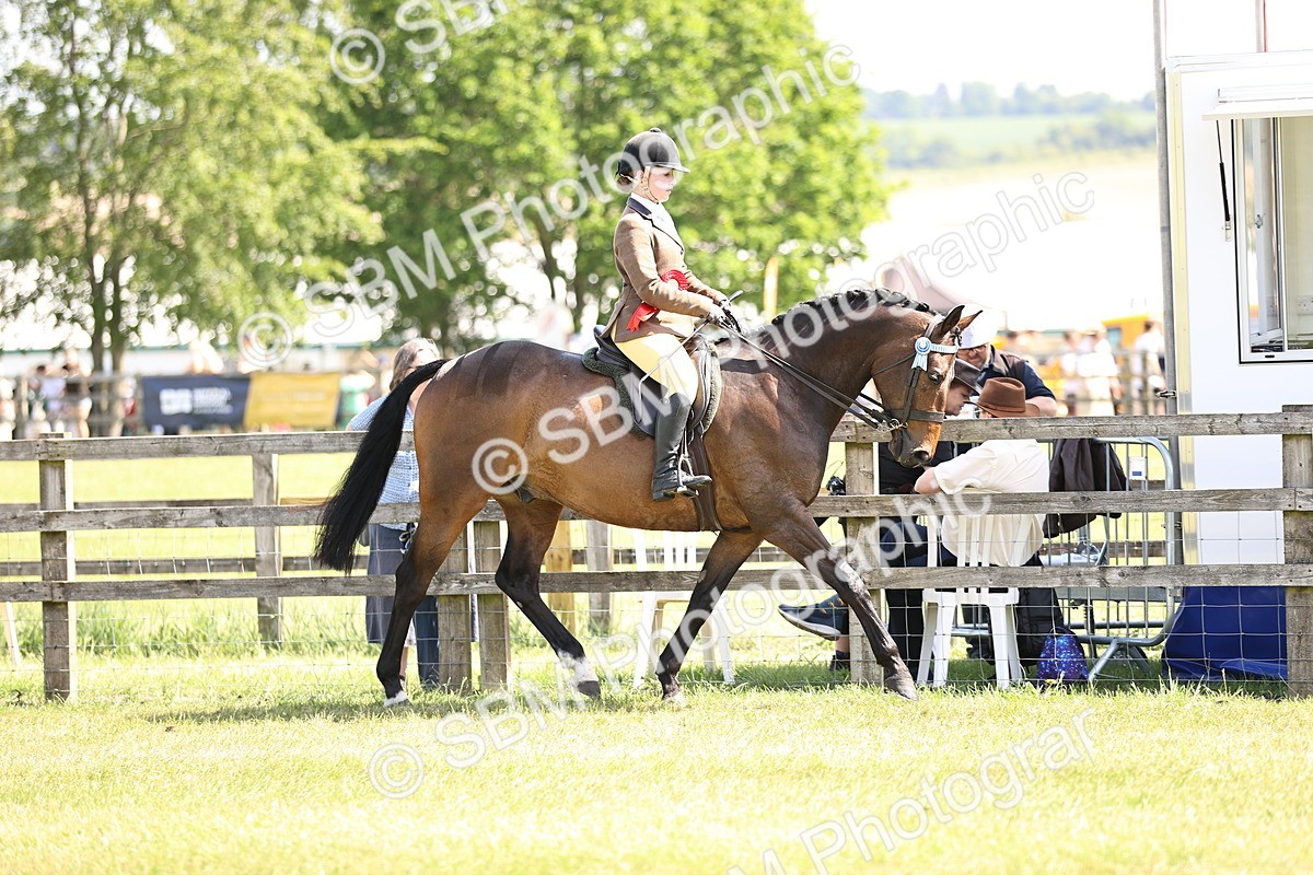 SBM_13066 - Class 75-76 LIHS BSHA Rising Star Hack Riding Horse