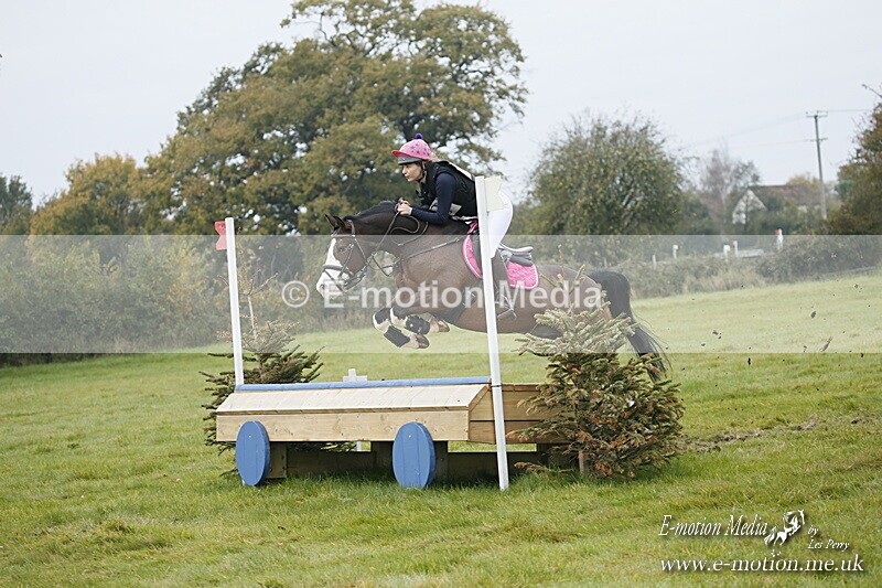 WWHT 181020 WWHT 181020 502 - WWEC Open Novice (0.80m) 18/10/20