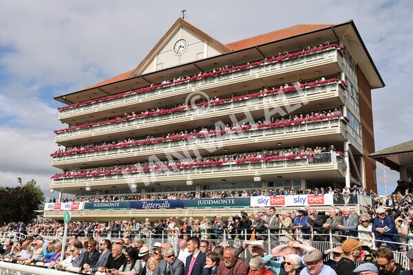 yr17082022r4-66 - Race 4 3.35pm Juddmonte International Stakes (British Champions Series Race)