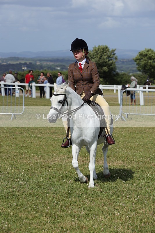 1X9A5750 - Class 40: NPS Welsh A & B