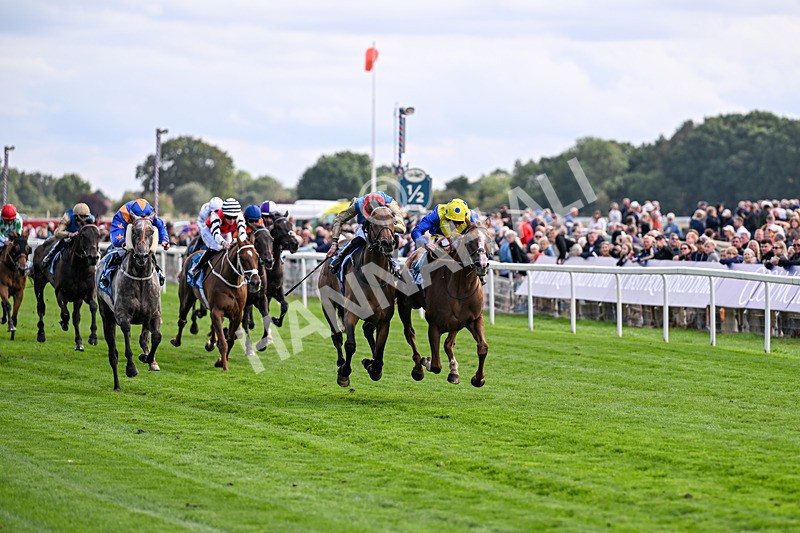 210826-Race 5-Plage De Havre-6736 - Race 5 16.10pm Assured Data Protection Handicap