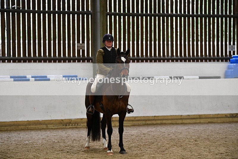 WJ5_8032 - Class 13 Ridden Part Breed