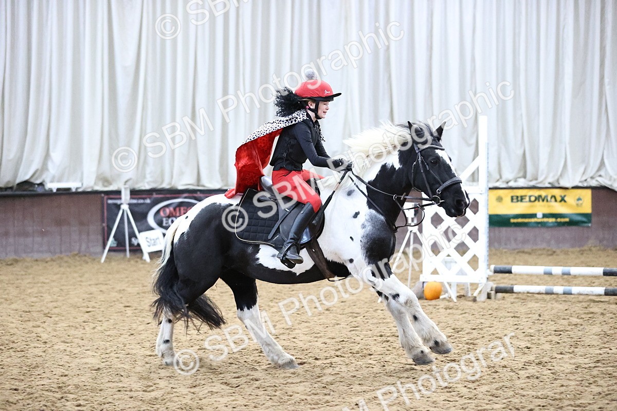 SBM_000205 - Class 2 - Show Jumping 50cm