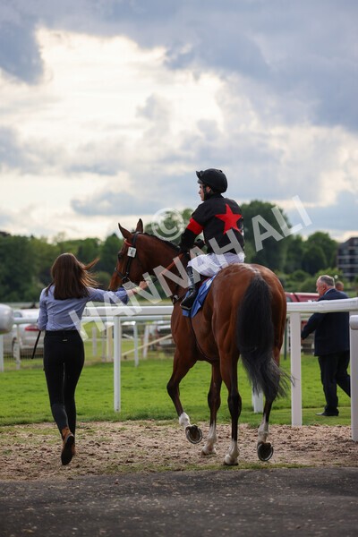 yr22052022r6-4 - Race 6: 6:05pm Sky Bet Sunday Series Stayers Stakes