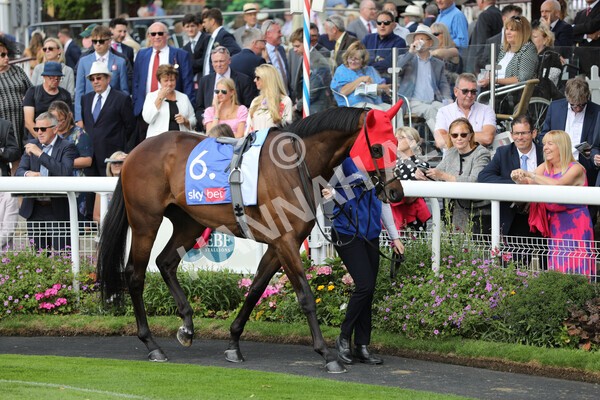 yr17082022r3-4 - Race 3 3.00pm Sky Bet Great Voltigeur Stakes