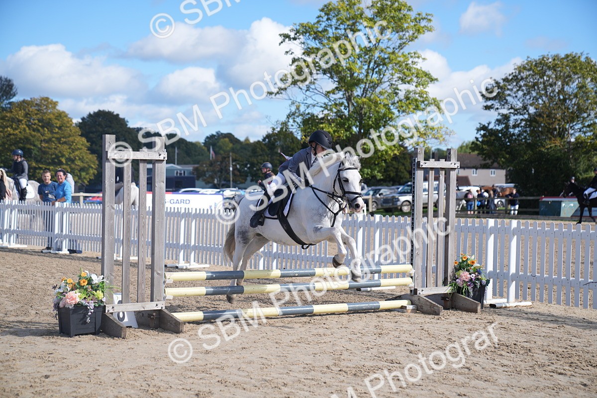 SBM_02465 - J54 Clear Round 45cm