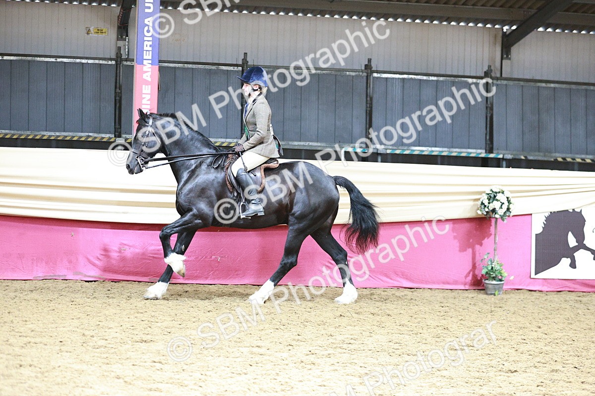 SBM_03730 - Class 6A Area Ridden Pre-Vet