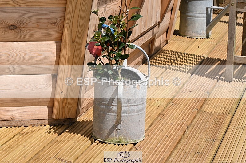 240608A-140425-02702 - Cls 4 Snr Newcomers and 1.10m Open