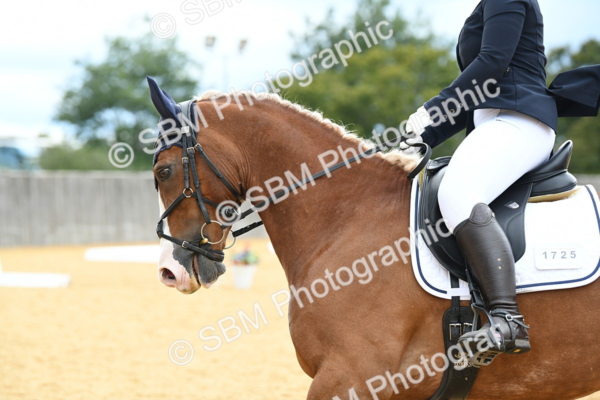 SBM_09938 - D15 Small Tour Championship Novice 24