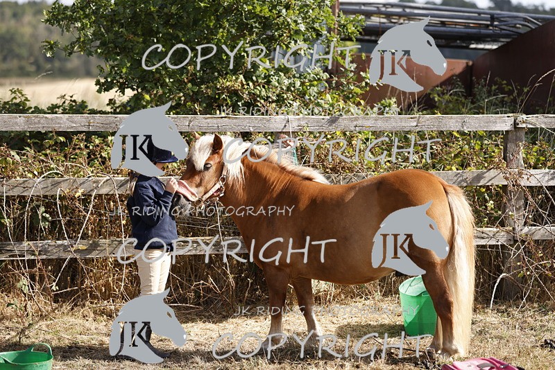 _R6A0822 - GENERAL PHOTOS