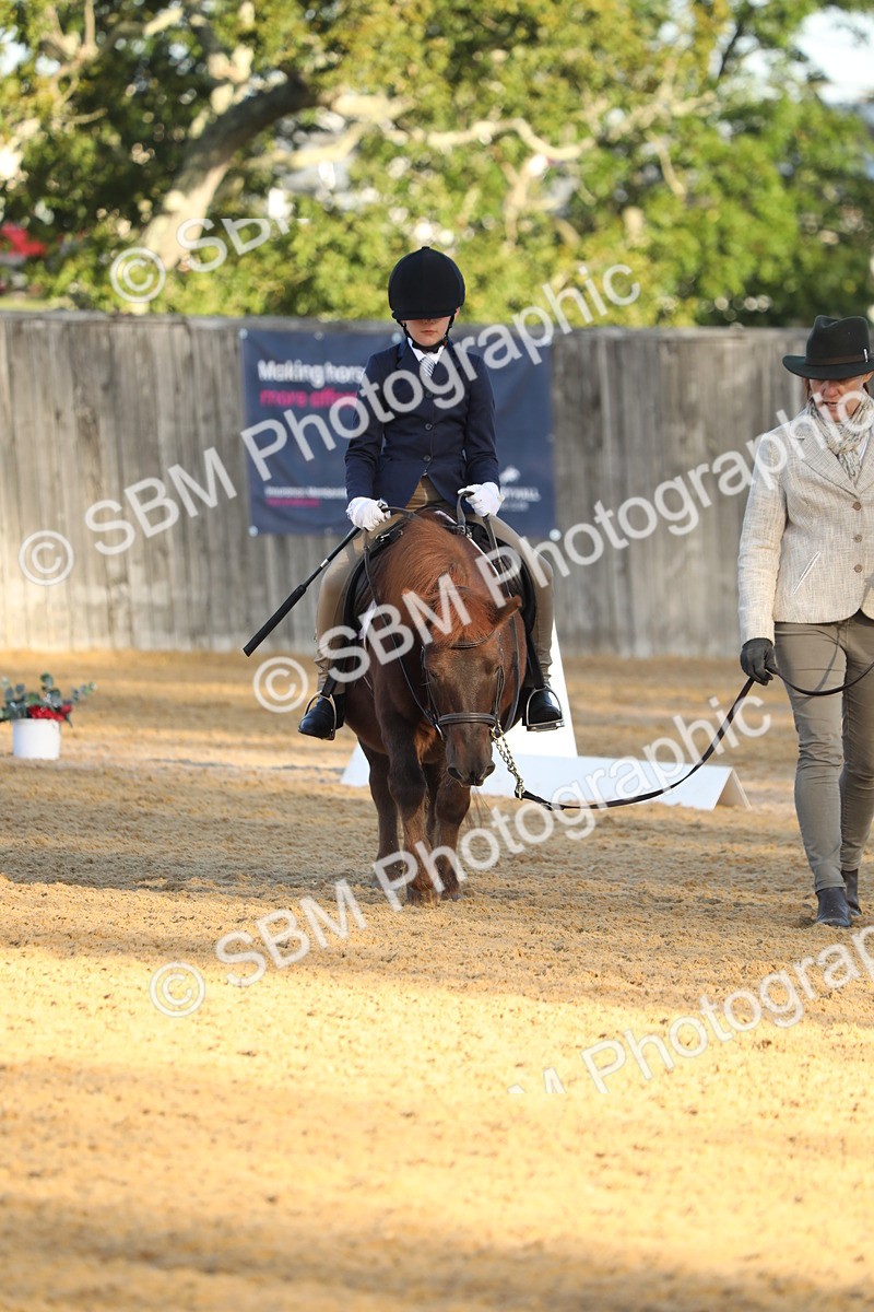 SBM_33622 - D26 - Starers - Lead Rein