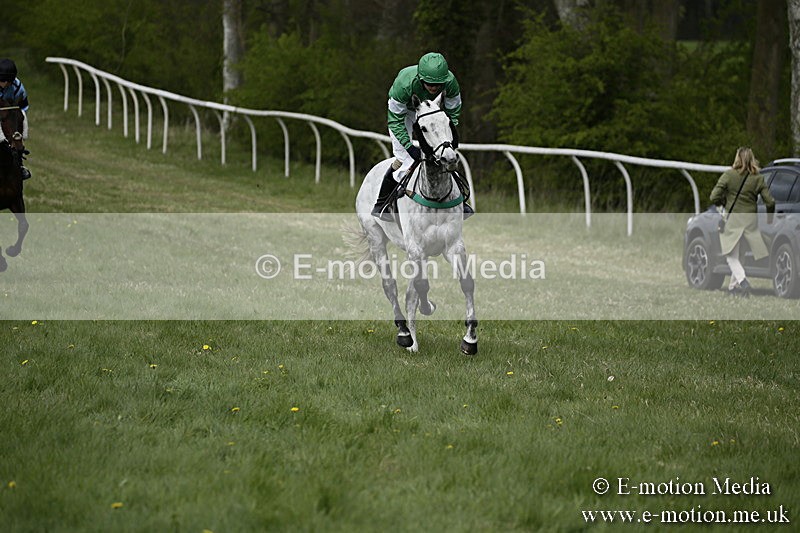 PtP 170417 56 - Old Berks Point-to-Point Lockinge 17/04/17