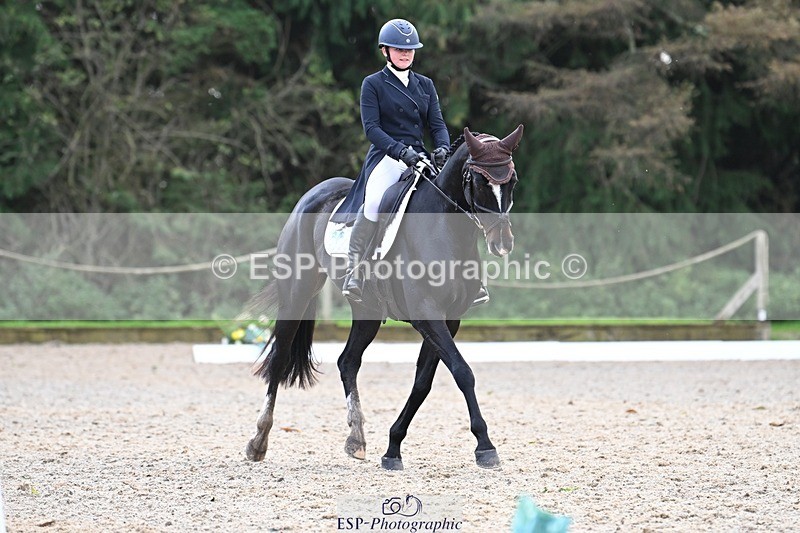 231019-143627-04227 - 054-PORSCHE-Coco.Lanni-DR