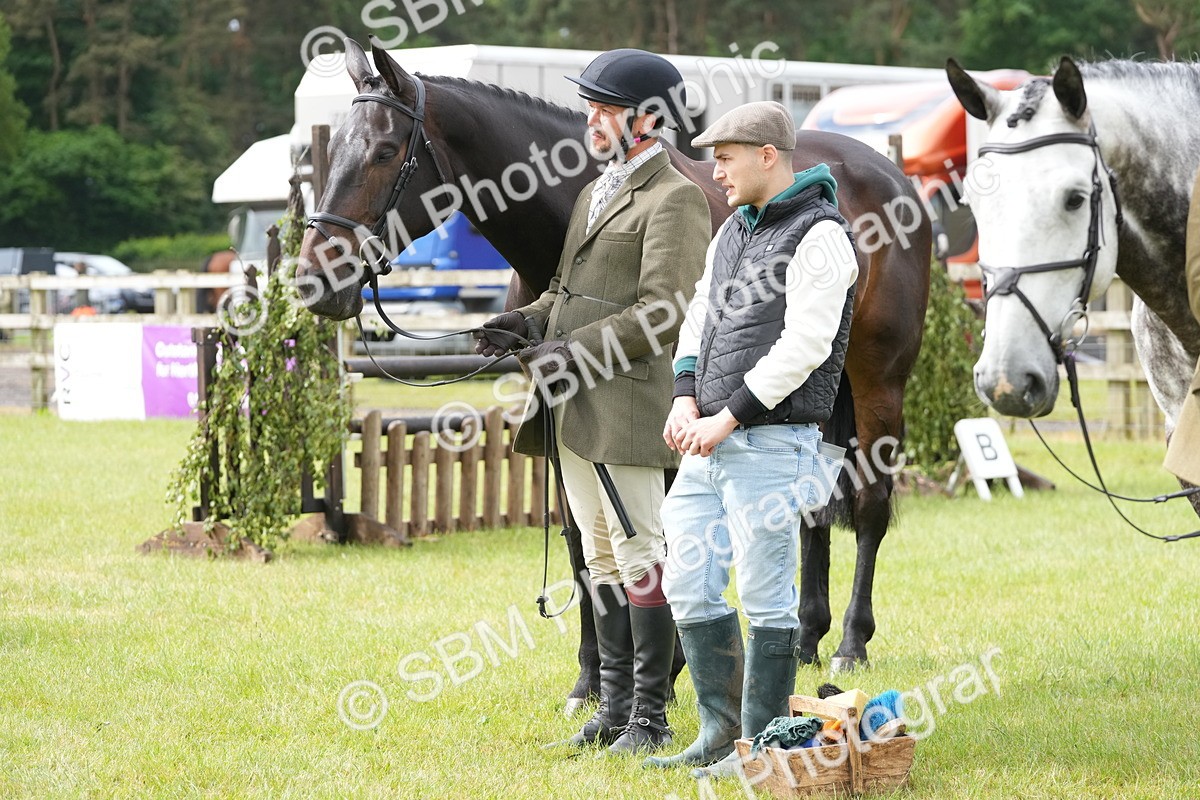 SBM_12747 - Class 97-98 - LIHS BSHA Rising Star Working Show Horse Hunter