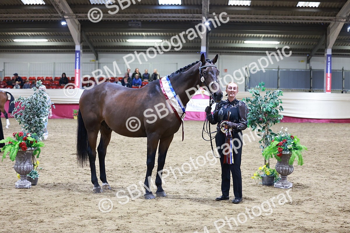 SBM_20643 - Class I - Ridden Pony Champ
