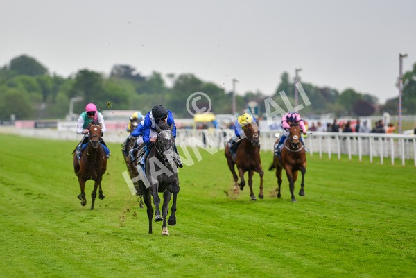 190523-Race 5-Mostabshir-0896 - Race 5 4.10pm Darley Novice Stakes