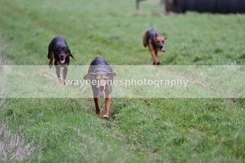 WJ7_1764 - Camera A