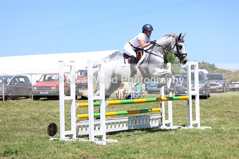 3E7A5608 - Class 9: Senior British Novice/90cm open