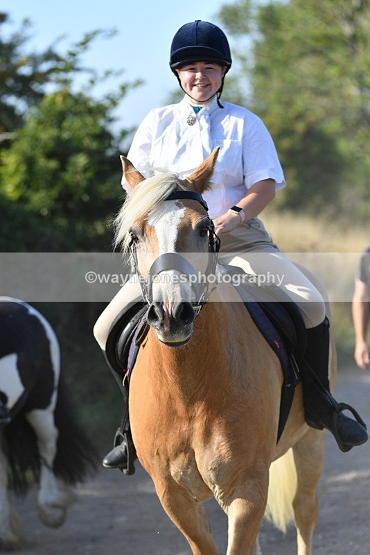 WJ5_5064 - Walk out with the hounds